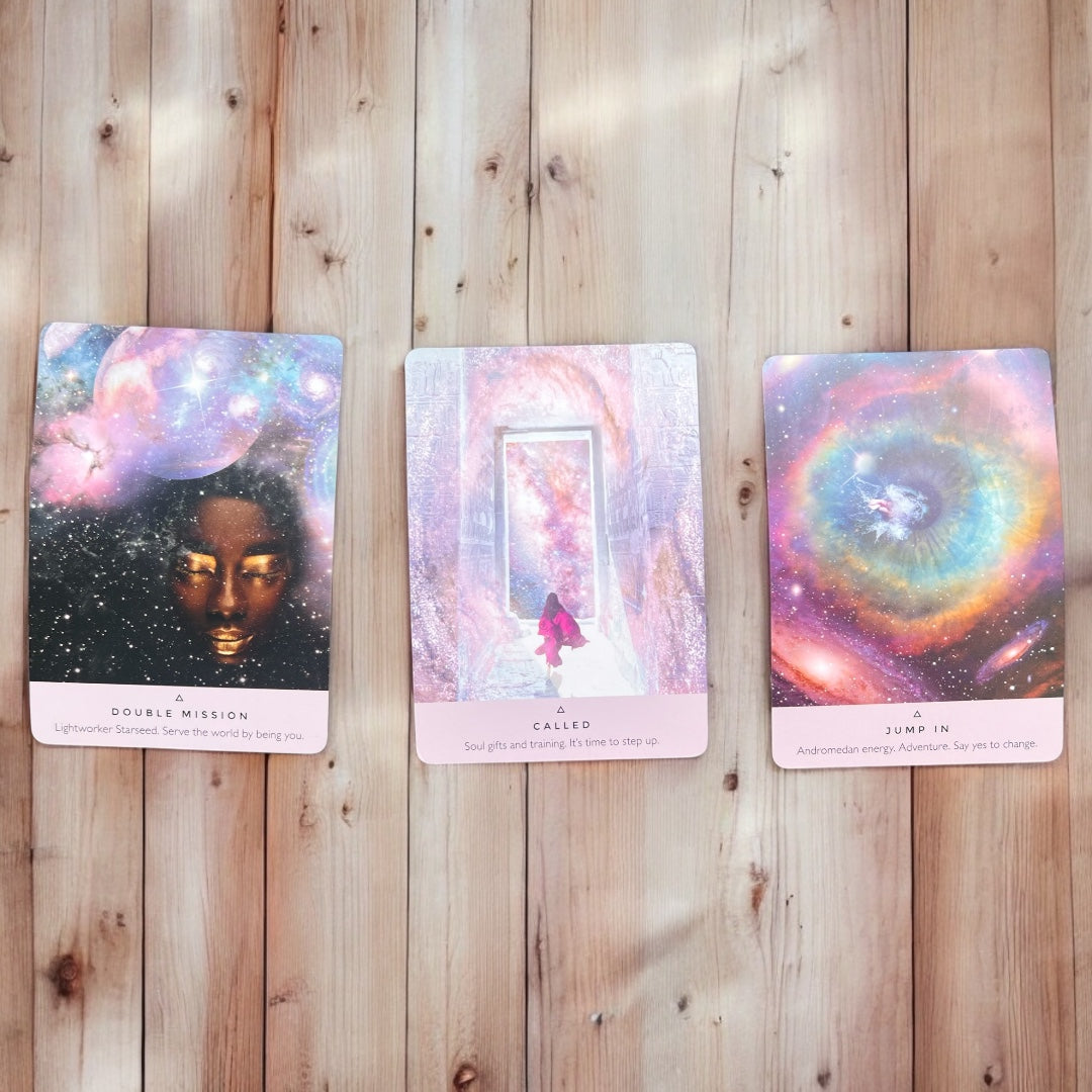 Whimsy Sol Launches May 28th 2025 🌞