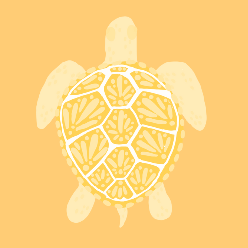 Enjoy the Now Orange Turtle Poster
