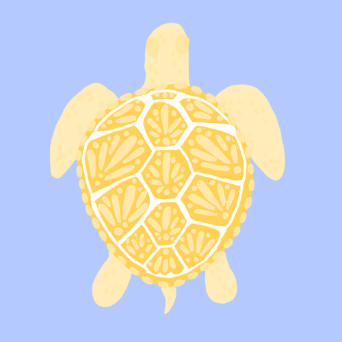 Enjoy the Now Turtle Poster